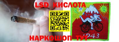 прущие грибы Бузулук