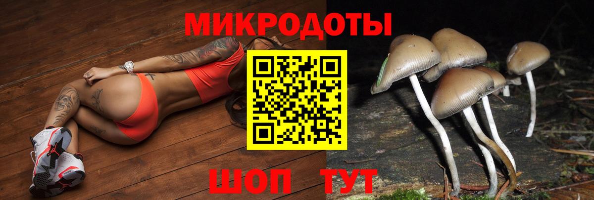 Псилоцибиновые грибы мухоморы Минеральные Воды