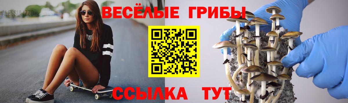 Псилоцибиновые грибы Psilocybe  Вход с VPN  Минеральные Воды 